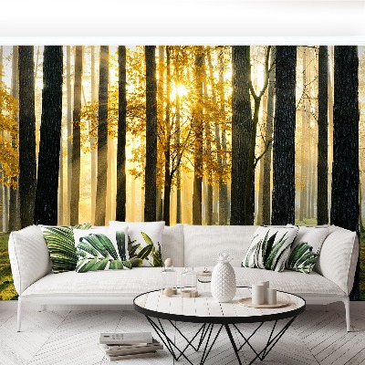 Mural de parede Floresta pela manhã
