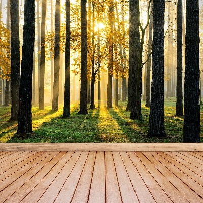 Mural de parede Floresta pela manhã