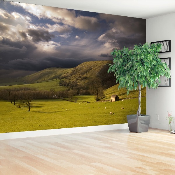 Papel de parede Paisagem do Pico