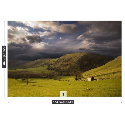 Papel de parede Paisagem do Pico