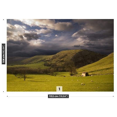 Papel de parede Paisagem do Pico