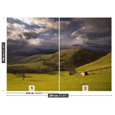 Papel de parede Paisagem do Pico