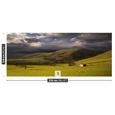 Papel de parede Paisagem do Pico