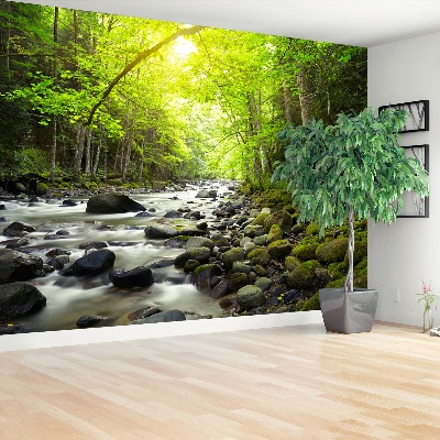 Mural de parede Rio de montanha