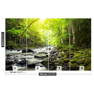 Mural de parede Rio de montanha