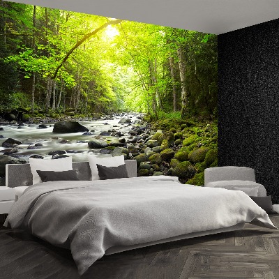 Mural de parede Rio de montanha