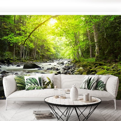 Mural de parede Rio de montanha