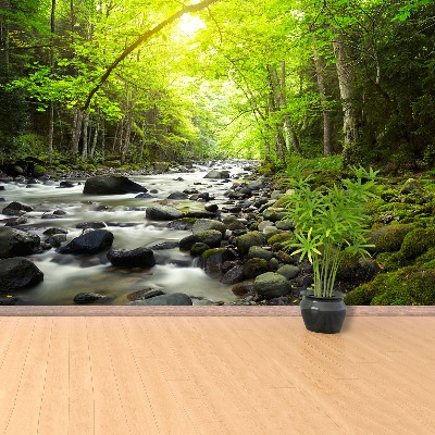 Mural de parede Rio de montanha