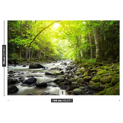 Mural de parede Rio de montanha