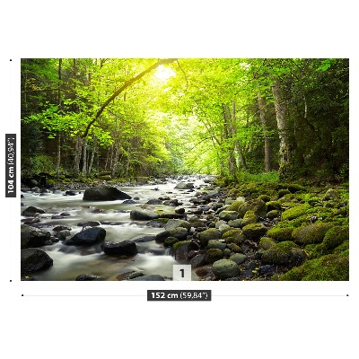 Mural de parede Rio de montanha