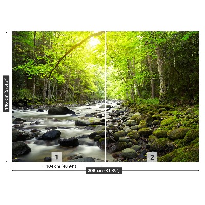 Mural de parede Rio de montanha