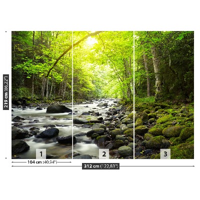 Mural de parede Rio de montanha