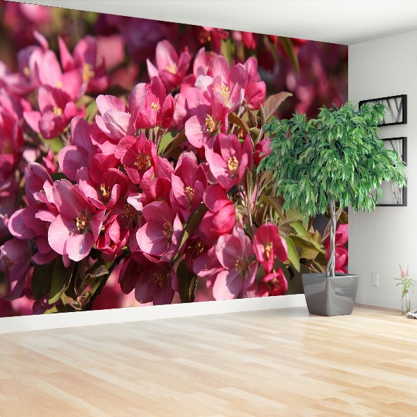 Mural de parede flores de cerejeira