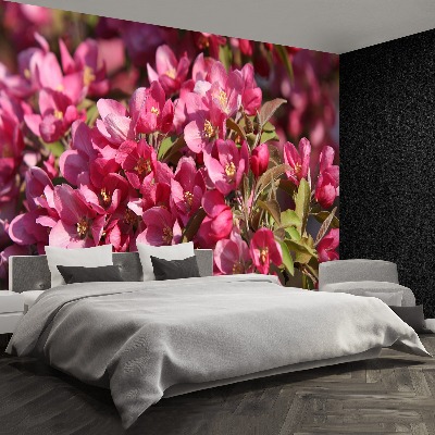 Mural de parede flores de cerejeira