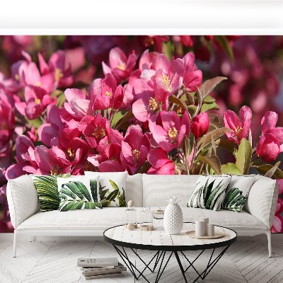 Mural de parede flores de cerejeira