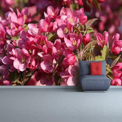 Mural de parede flores de cerejeira