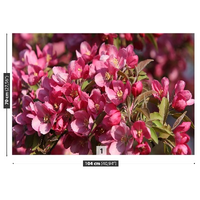 Mural de parede flores de cerejeira