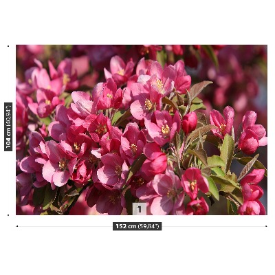Mural de parede flores de cerejeira