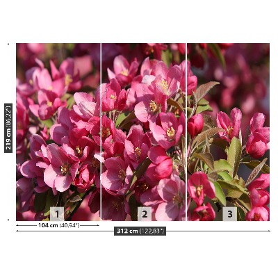 Mural de parede flores de cerejeira