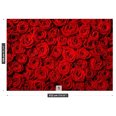 Mural de parede rosas vermelhas