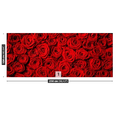 Mural de parede rosas vermelhas