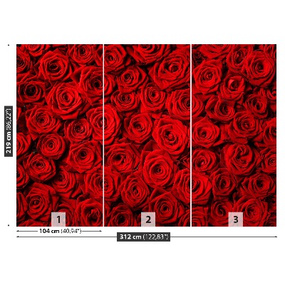 Mural de parede rosas vermelhas