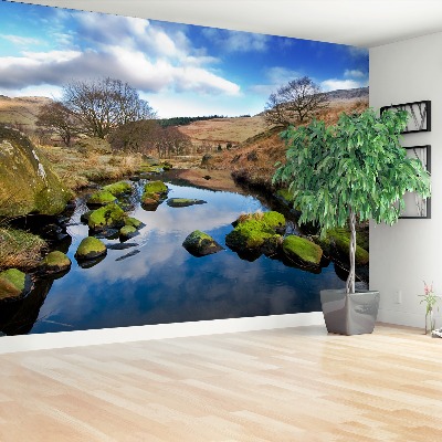Mural de parede Paisagem Inglaterra