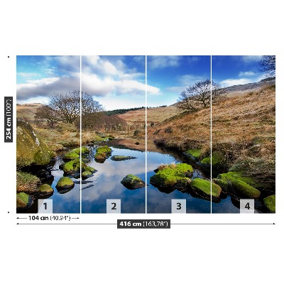 Mural de parede Paisagem Inglaterra