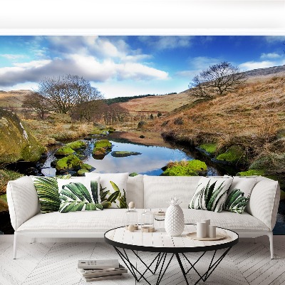 Mural de parede Paisagem Inglaterra