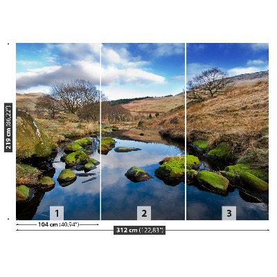 Mural de parede Paisagem Inglaterra