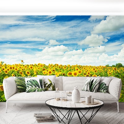 Papel de parede Campo de girassóis