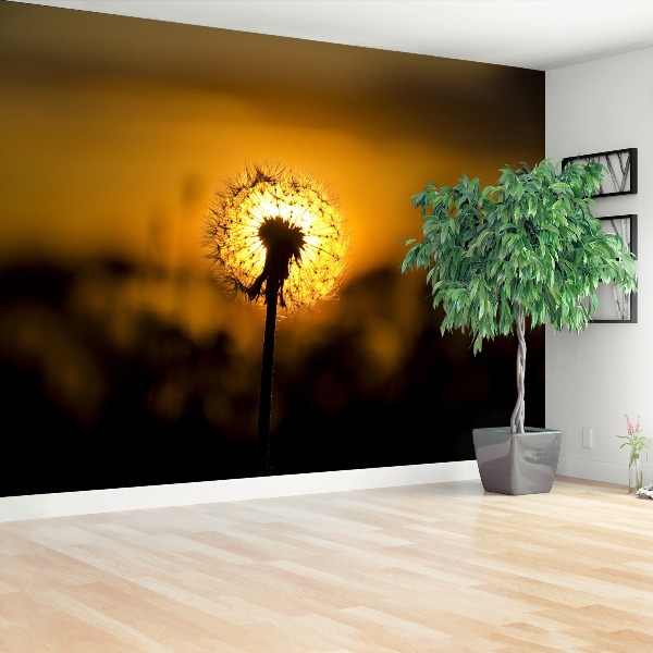 Papel de parede Dente-de-leão