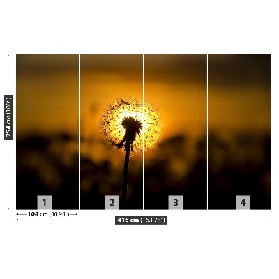 Papel de parede Dente-de-leão