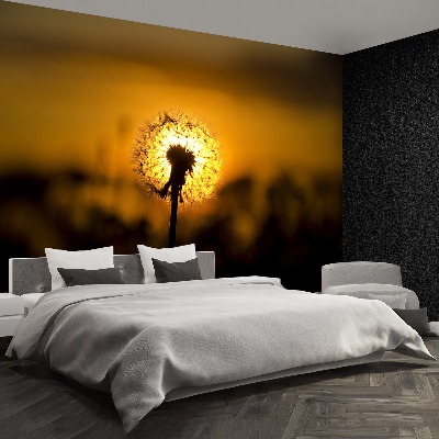 Papel de parede Dente-de-leão