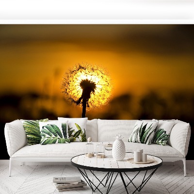 Papel de parede Dente-de-leão