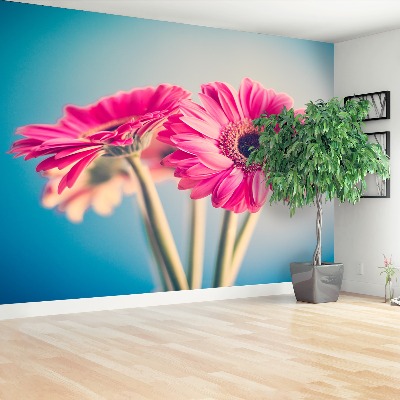 Papel de parede flores rosas