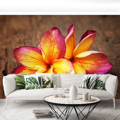 Mural de parede Madeira de Plumeria