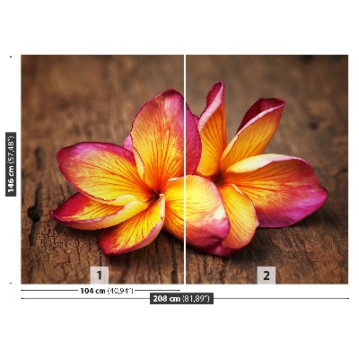 Mural de parede Madeira de Plumeria