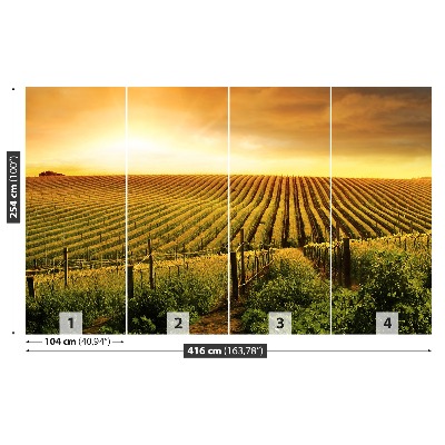 Mural de parede Vinhedo