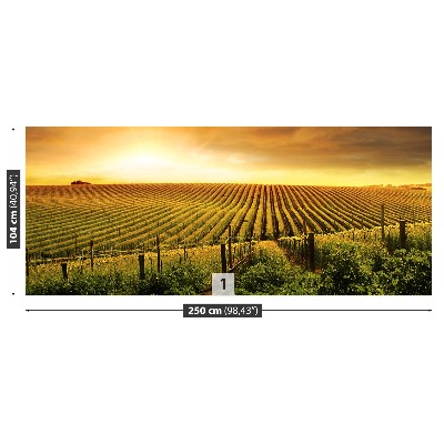 Mural de parede Vinhedo