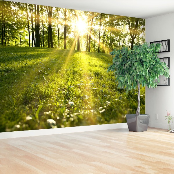 Mural de parede Sol da Floresta