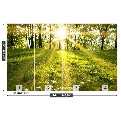 Mural de parede Sol da Floresta