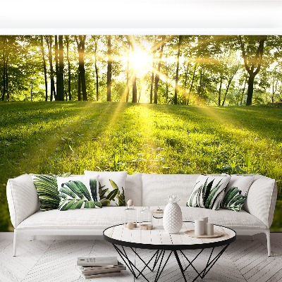 Mural de parede Sol da Floresta