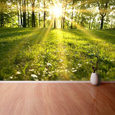 Mural de parede Sol da Floresta