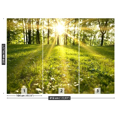 Mural de parede Sol da Floresta