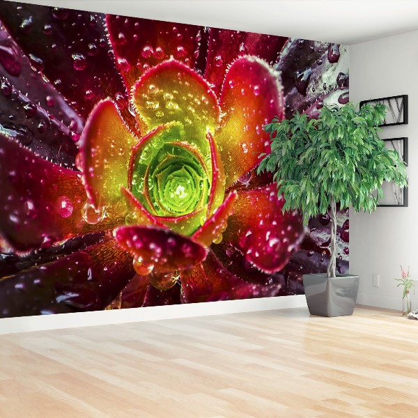 Papel de parede Flor Vermelha