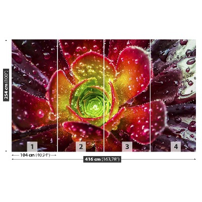 Papel de parede Flor Vermelha