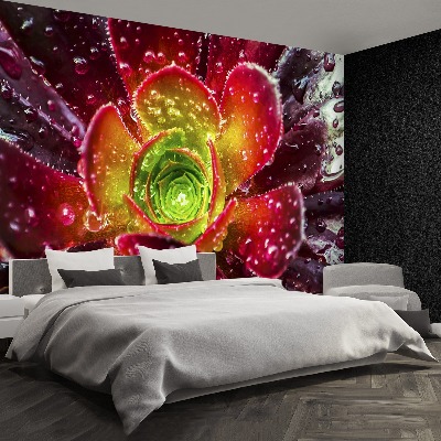 Papel de parede Flor Vermelha