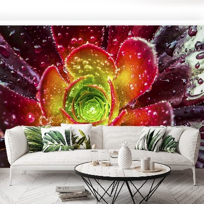 Papel de parede Flor Vermelha