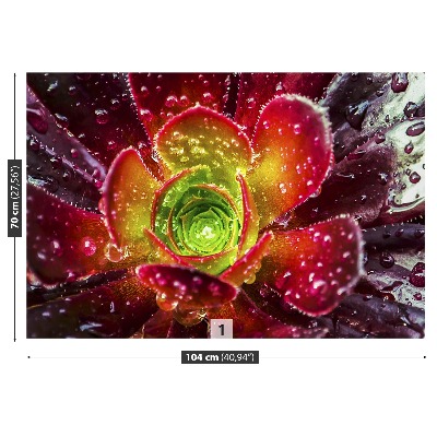 Papel de parede Flor Vermelha